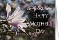 For my birth mother a Mother’s Day card with magnolias card