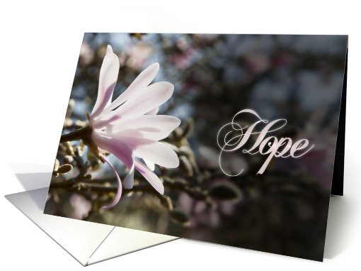 Hope card with magnolias card (610018)