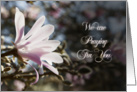 Praying for you card with magnolias card