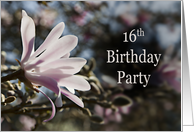 16th Birthday Party Invitation with Magnolias card
