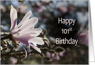 101st Birthday, with Magnolia card