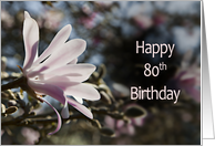 80th Birthday, with Magnolia card