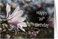 20th Birthday, with Magnolia card