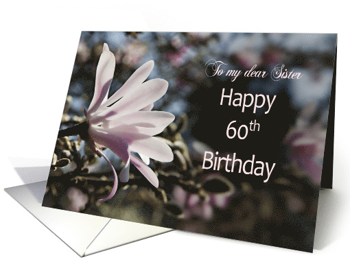 60th Birthday, Sister, with Magnolia card (612515)