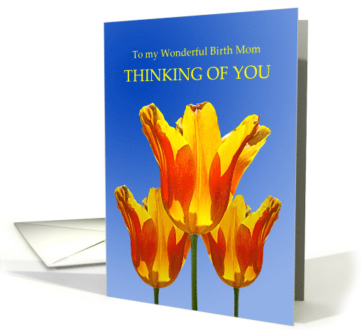 Thinking of you birth mom, with tulips full of sunshine card (619387)