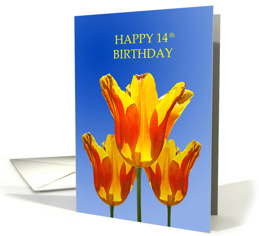 14th Birthday card, Tulips full of Sunshine card (620179)