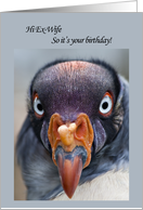 Ex-wife Funny Vulture Birthday card