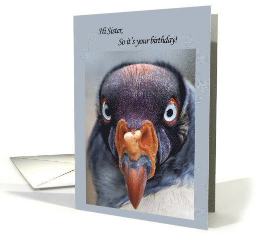 Sister Funny Vulture Birthday card (697887)