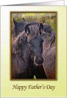 Father’s Day with a Young Horse card
