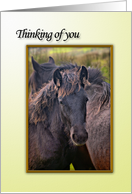 Thinking of You card