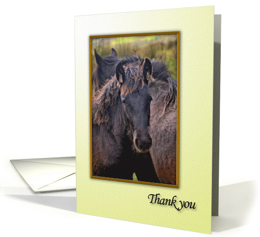 Thank You with a Horse card (700443)