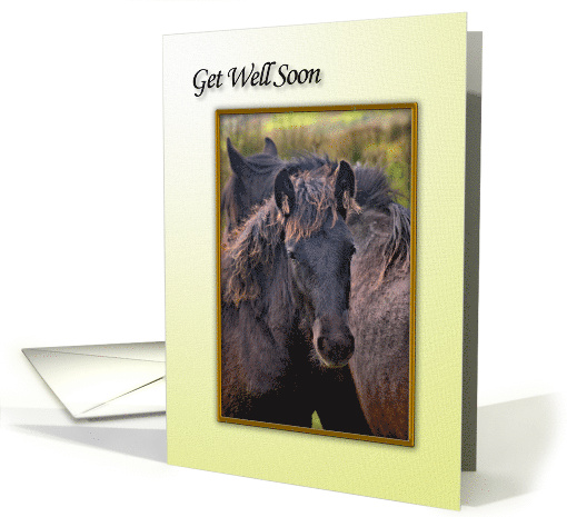 Get Well Soon card (701824)