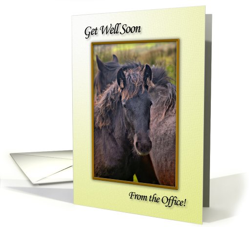 Get well soon from the office, a young horse card (701825)