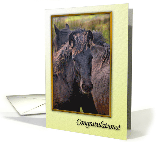 Congratulations Horses card (702558)