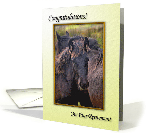 Congratulations on retirement, a young horse card (702559)