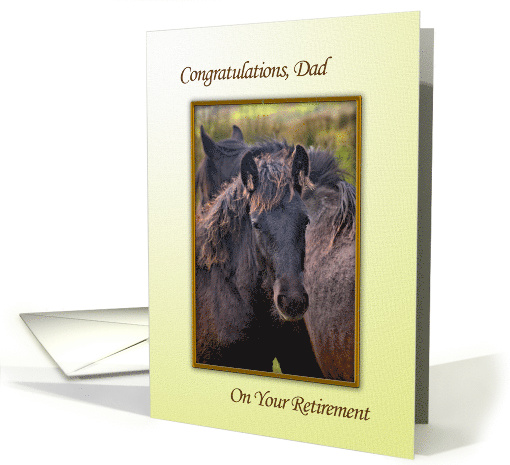 Congratulations Dad on Retirement, with Young Horse card (702560)