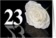 23rd Birthday White Rose card