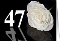 47th Birthday White Rose card