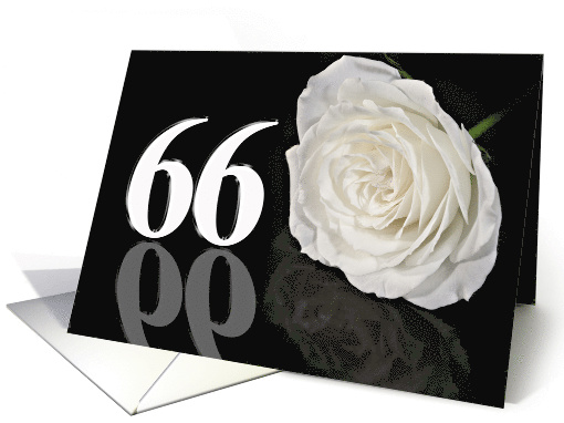 66th Birthday White Rose card (773258)