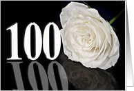 100th Birthday White Rose card