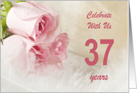 37th Wedding Anniversary Party Invitation, Pink Roses card