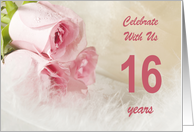 16th Wedding Anniversary Party Invitation, Pink Roses card