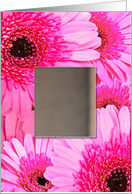 Add a Picture Pink Daisy Birthday card