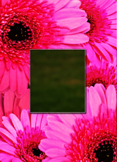 Add a Picture Thinking of You