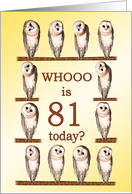 81st Birthday, Curious Owls card