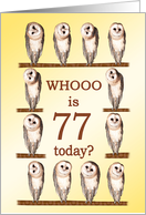 77th Birthday, Curious Owls card