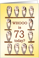 73rd Birthday, Curious Owls card