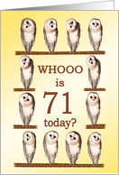 71st Birthday, Curious Owls card