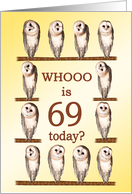 69th Birthday, Curious Owls card