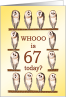 67th Birthday, Curious Owls card