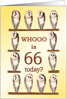 66th Birthday, Curious Owls card