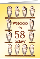 58th Birthday, Curious Owls card