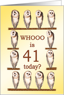 41st Birthday, Curious Owls card