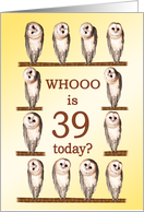 39th Birthday, Curious Owls card