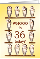 36th Birthday, Curious Owls card