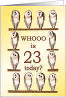 23rd Birthday, Curious Owls card