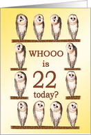 22nd Birthday, Curious Owls card