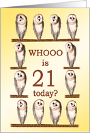 21st Birthday, Curious Owls card