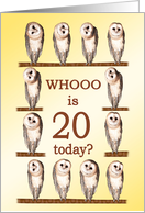 20th Birthday, Curious Owls card