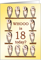 18th Birthday, Curious Owls card