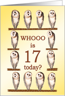 17th Birthday, Curious Owls card