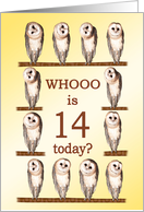 14th Birthday, Curious Owls card