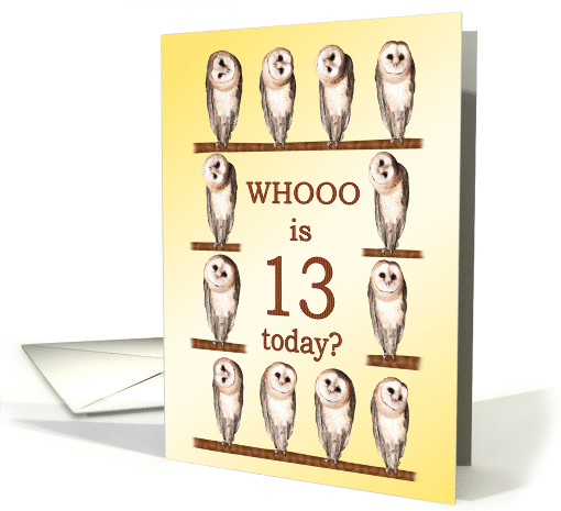 13th Birthday, Curious Owls card (938273)