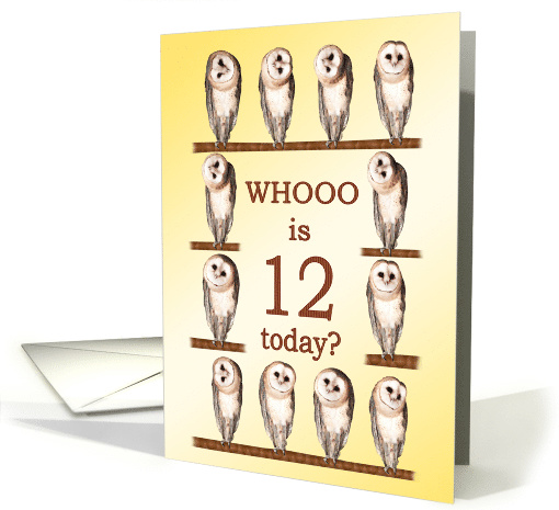 12th Birthday, Curious Owls card (938274)