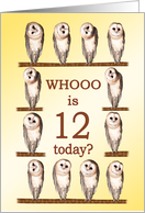 12th Birthday, Curious Owls card