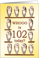 102nd Birthday, Curious Owls card